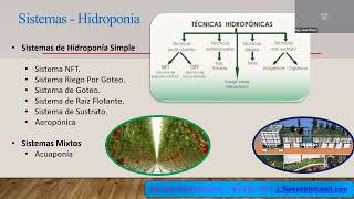 Formulación de soluciones nutritivas